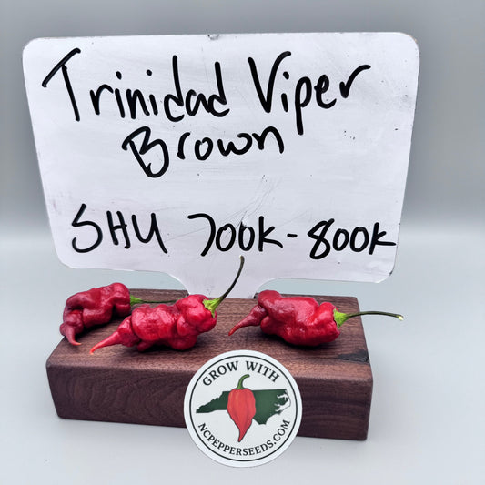 Trinidad Scorpion Brown Viper