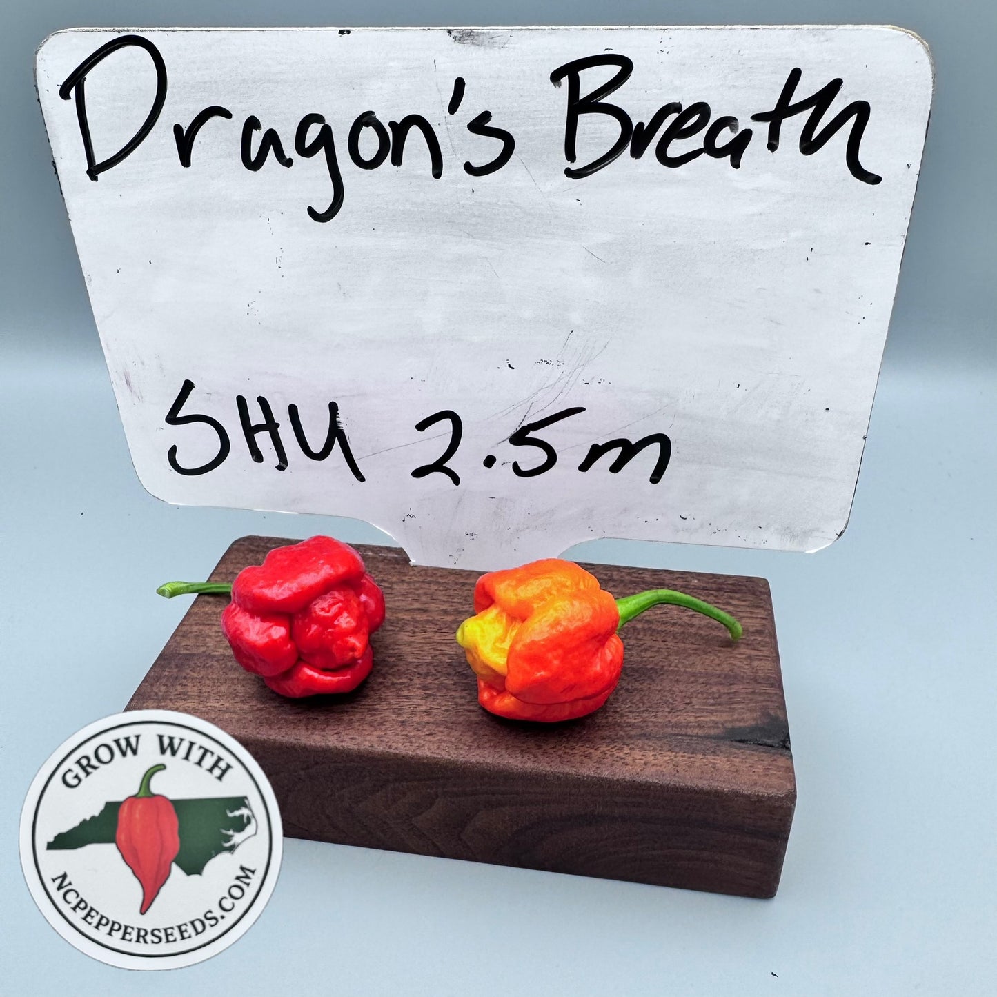 Dragons Breath