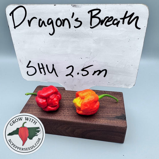 Dragons Breath