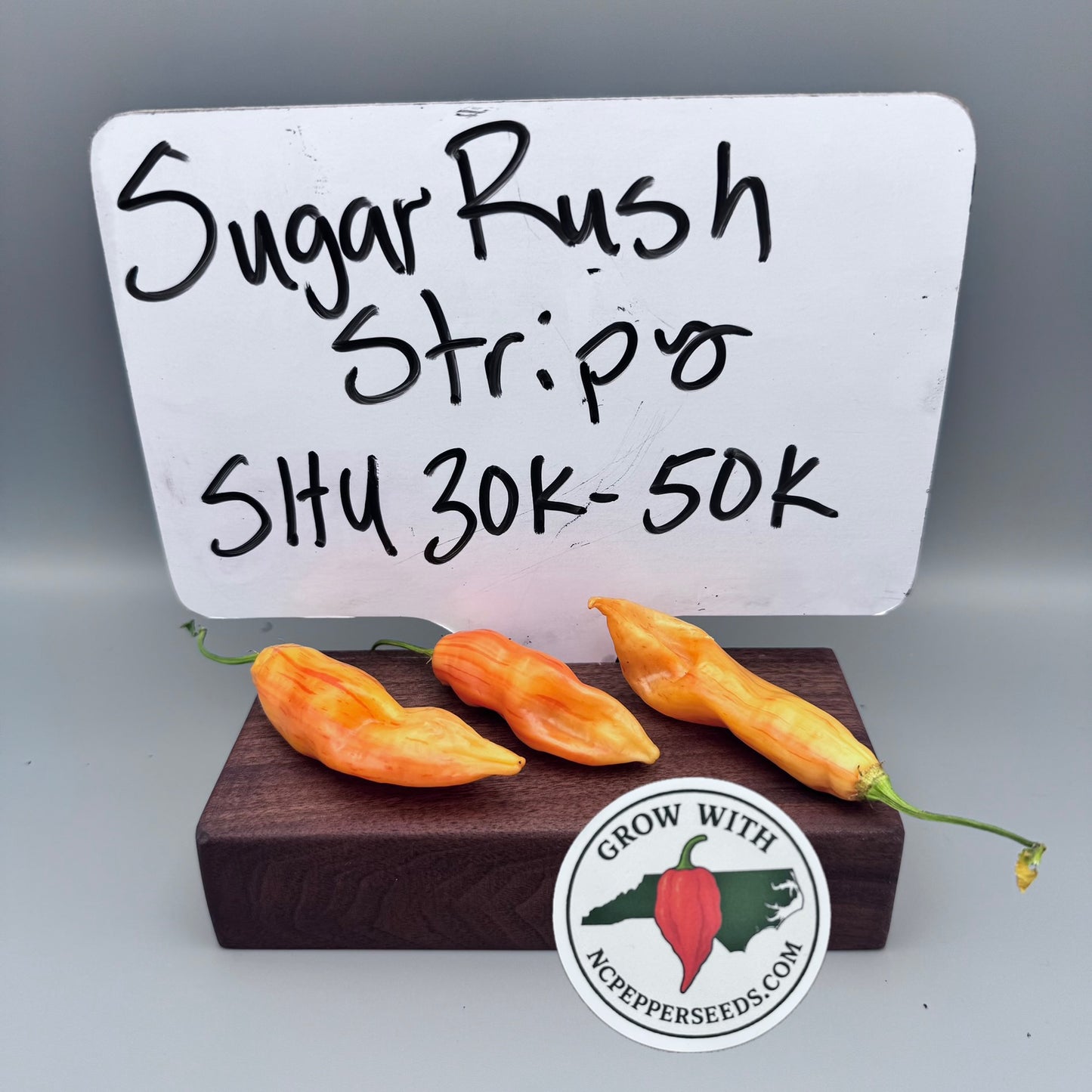 Sugar Rush Stripy