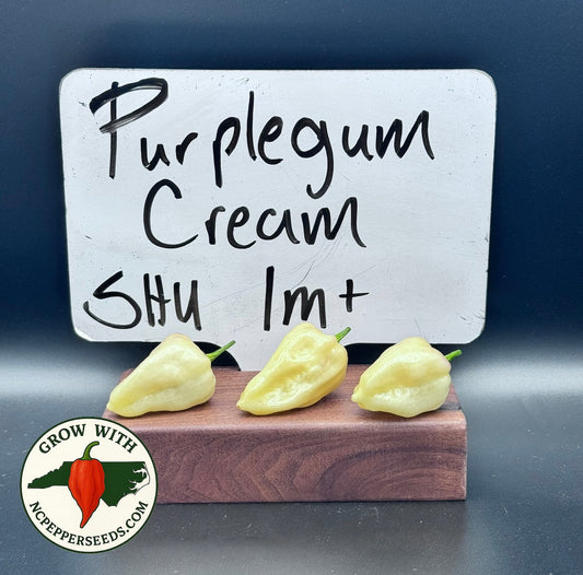 PurpleGum Cream  #168
