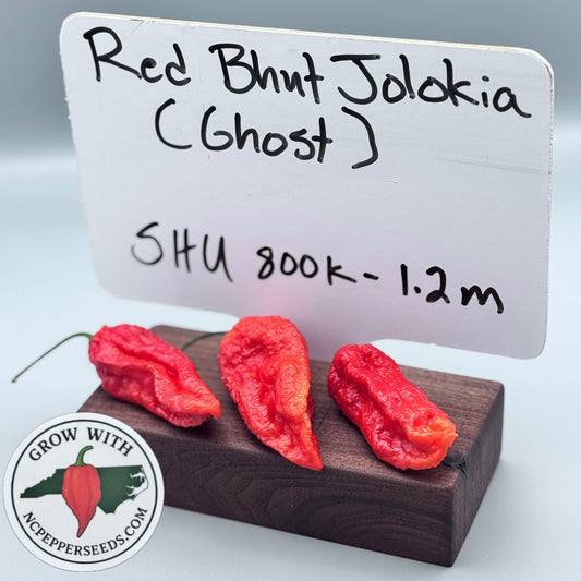 Red Ghost (Bhut Jolokia)