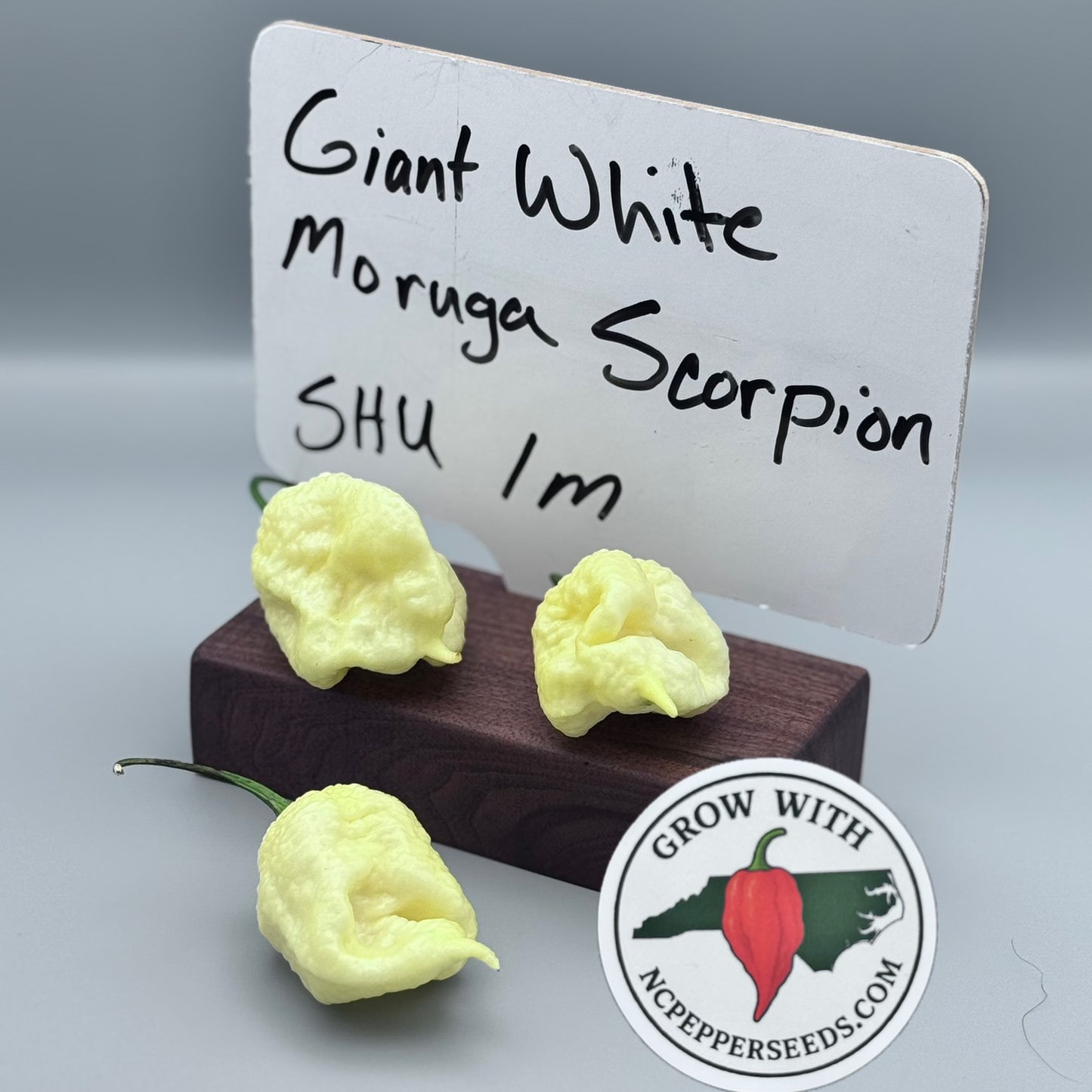 Giant White Moruga Scorpion