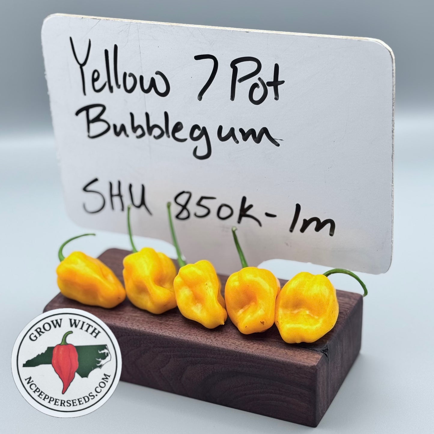 Yellow 7 pot Bubblegum