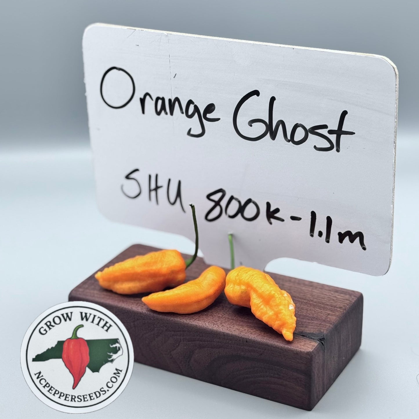 Orange Ghost